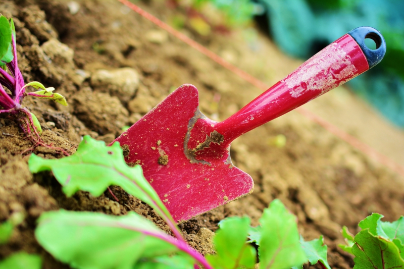 jardinerie-CHATEAUNEUF D ENTRAUNES-min_gardening-2448134